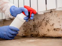 Asbestos and Lead Testing During Mold Inspection in Lisle, IL